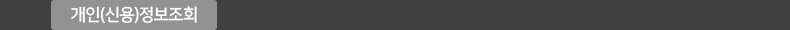 개인(신용)정보조회
