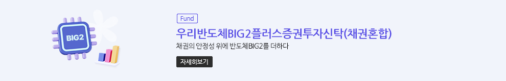 (Fund) 우리반도체BIG2플러스증권투자신탁(채권혼합) 채권의 안정성 위에 반도체BIG2를 더하다 (자세히보기)
